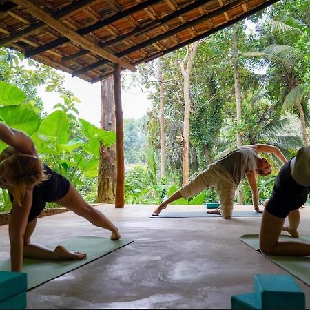 Into The Blue - Yoga Included & Walk To 3 Beaches Tangalle Bagian luar foto