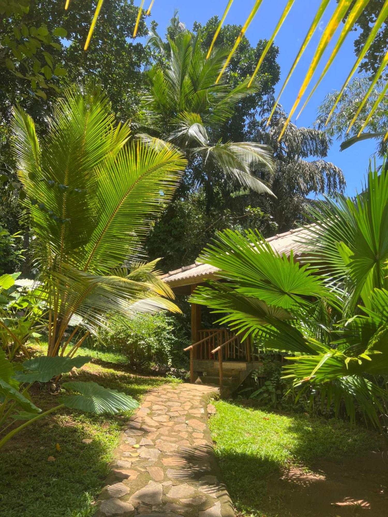 Into The Blue - Yoga Included & Walk To 3 Beaches Tangalle Bagian luar foto