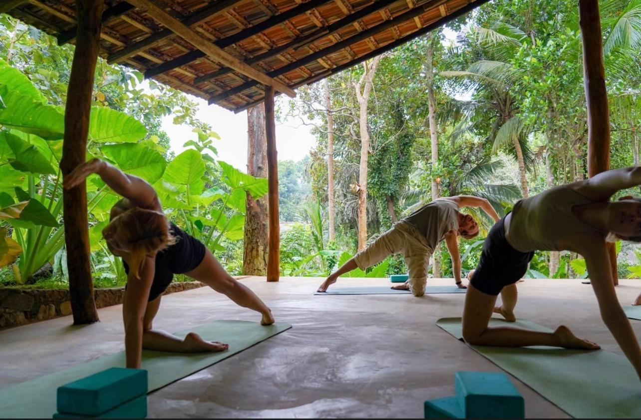 Into The Blue - Yoga Included & Walk To 3 Beaches Tangalle Bagian luar foto